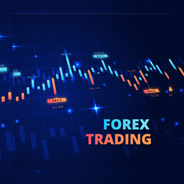 The Complete Fundamentals of FOREX Trading Master Class